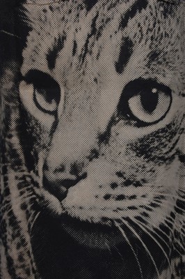 Lot 174 - A Harry Gordon disposable paper dress `Cat'...