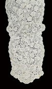 Lot 26 - A pair of Devonshire bobbin lace lappets,...