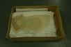 Lot 51 - A group of linen, doilies, napkins, first half...