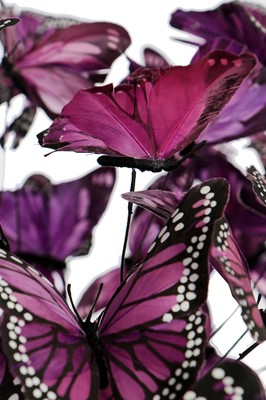 Lot 251 - A fine Philip Treacy 'butterfly' hat, circa 2003