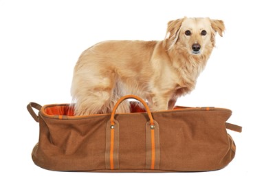 Lot 132 - An Hermès canvas cushioned dog bed, modern