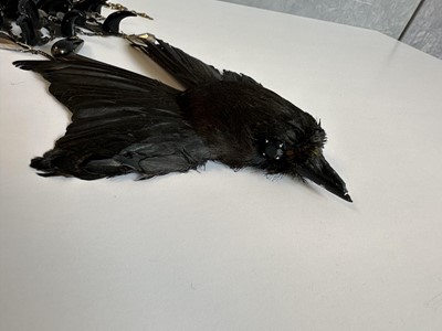 Lot 466 - A Simon Costin for Alexander McQueen choker necklace, 'The Birds' collection, Spring-Summer 1995