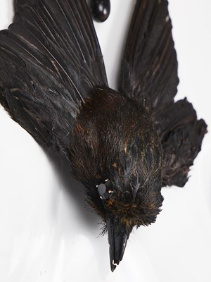 Lot 466 - A Simon Costin for Alexander McQueen choker necklace, 'The Birds' collection, Spring-Summer 1995