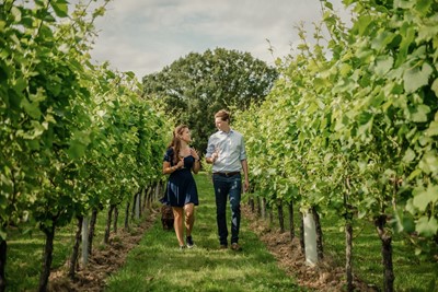 Lot 99 - The Gallivant Hotel & Gusbourne estate luxury stay and wine tasting experience, East Sussex