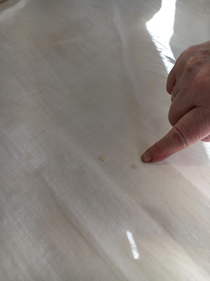 Lot 101 - A white percale morning coat, English, circa 1814