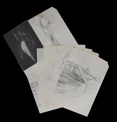 Lot 199 - Julie Verhoeven for John Galliano anatomical drawings and fashion illustrations for A/W 1990-91 and S/S 1991
