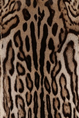 Lot 35 - An ocelot coat, 1960s, un-labelled, with...