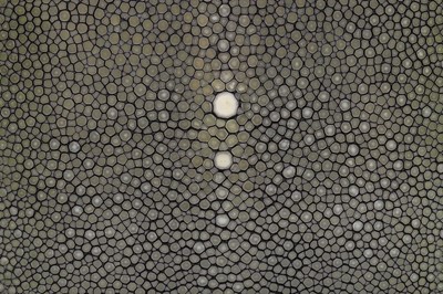 Lot 33 - A Chanel shagreen box-clutch, modern, with...
