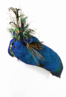 Lot 261 - An unusual peacock feather toque and matching...