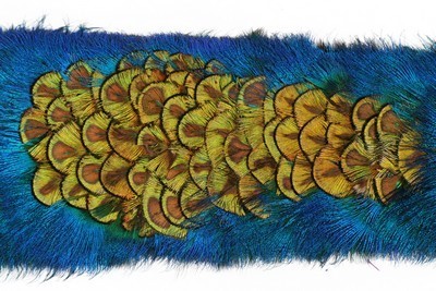 Lot 261 - An unusual peacock feather toque and matching...