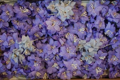 Lot 151 - Five boxes of silk flowers sprays and posies,...